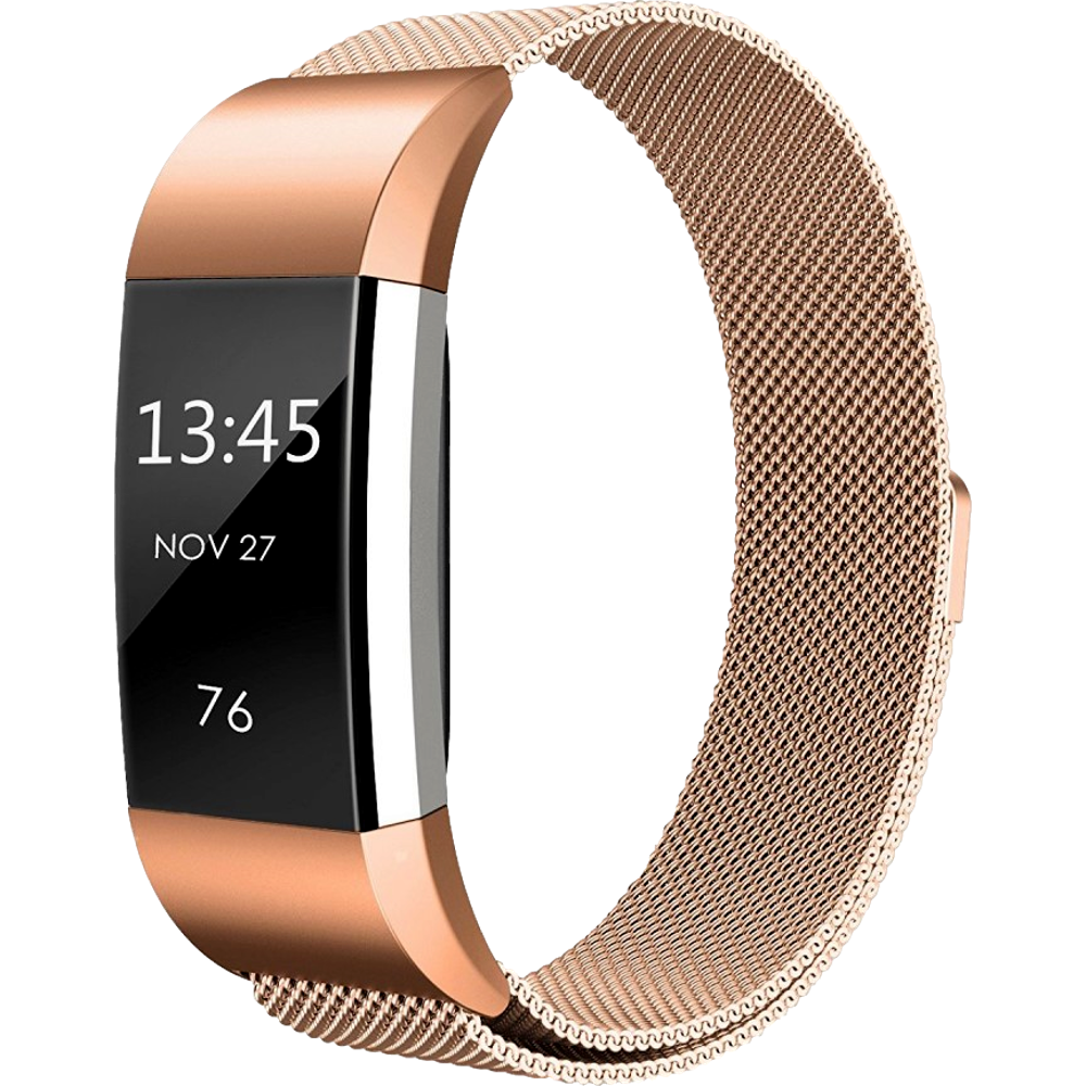 Cuneo Rem I Rustfrit Stål Til Fitbit Charge 2-Guld