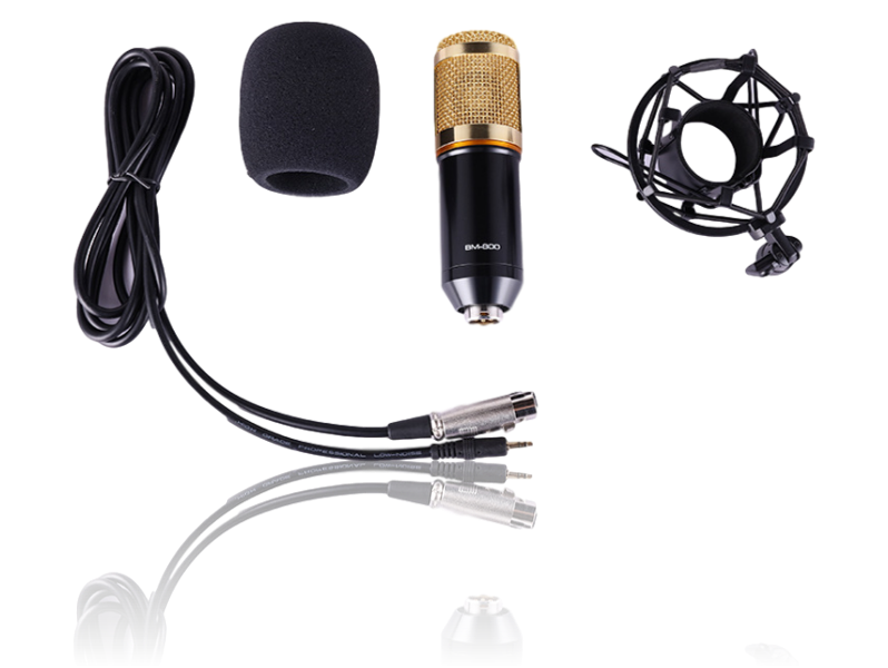 Ara X100 Mikrofon m/ Shock Mount & Vindhætte