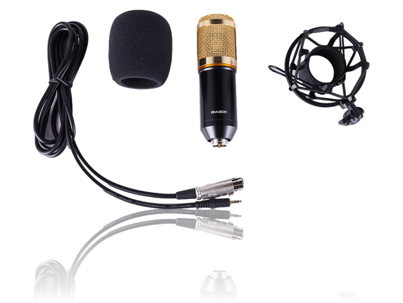 Ara X100 Mikrofon M/ Shock Mount & Vindhætte Mikrofon