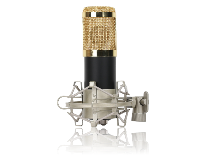 Ara X120 Mikrofon m/ Shock Mount & Vindhætte mm.