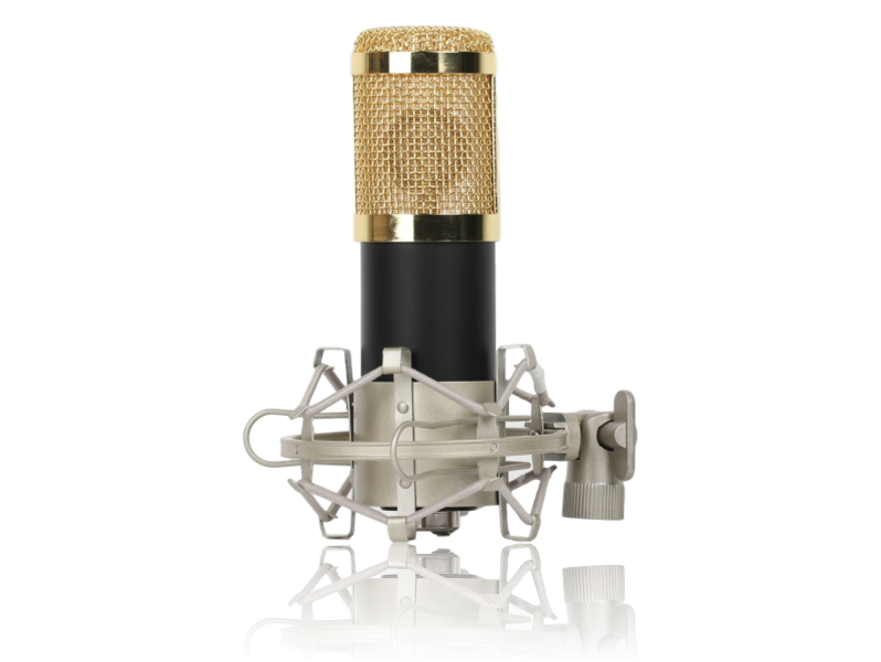 Evermart Ara X120 Mikrofon M/ Shock Mount & Vindhætte Mm. Mikrofon